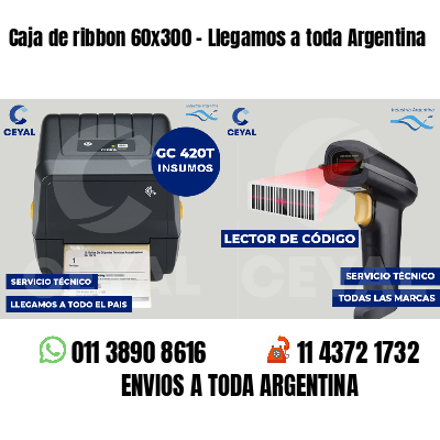Caja de ribbon 60x300 - Llegamos a toda Argentina
