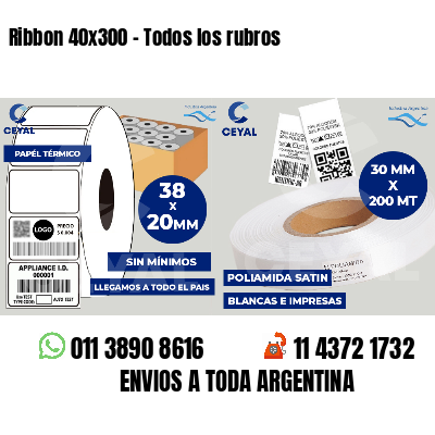 Ribbon 40x300 - Todos los rubros
