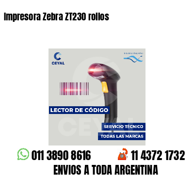 Impresora Zebra ZT230 rollos
