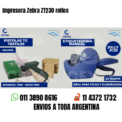 Impresora Zebra ZT230 rollos
