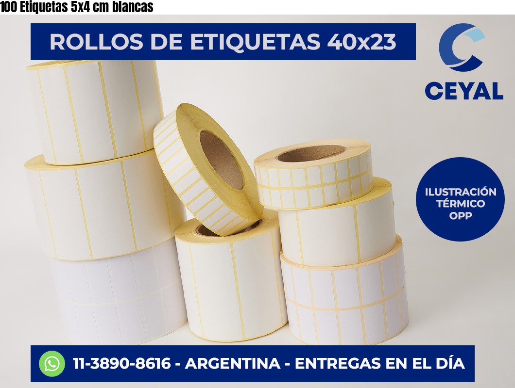100 Etiquetas 5×4 cm blancas