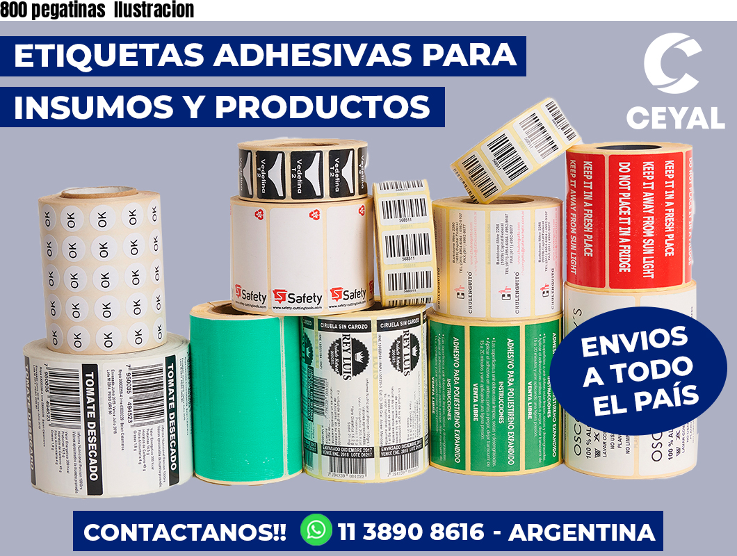 800 pegatinas Ilustracion