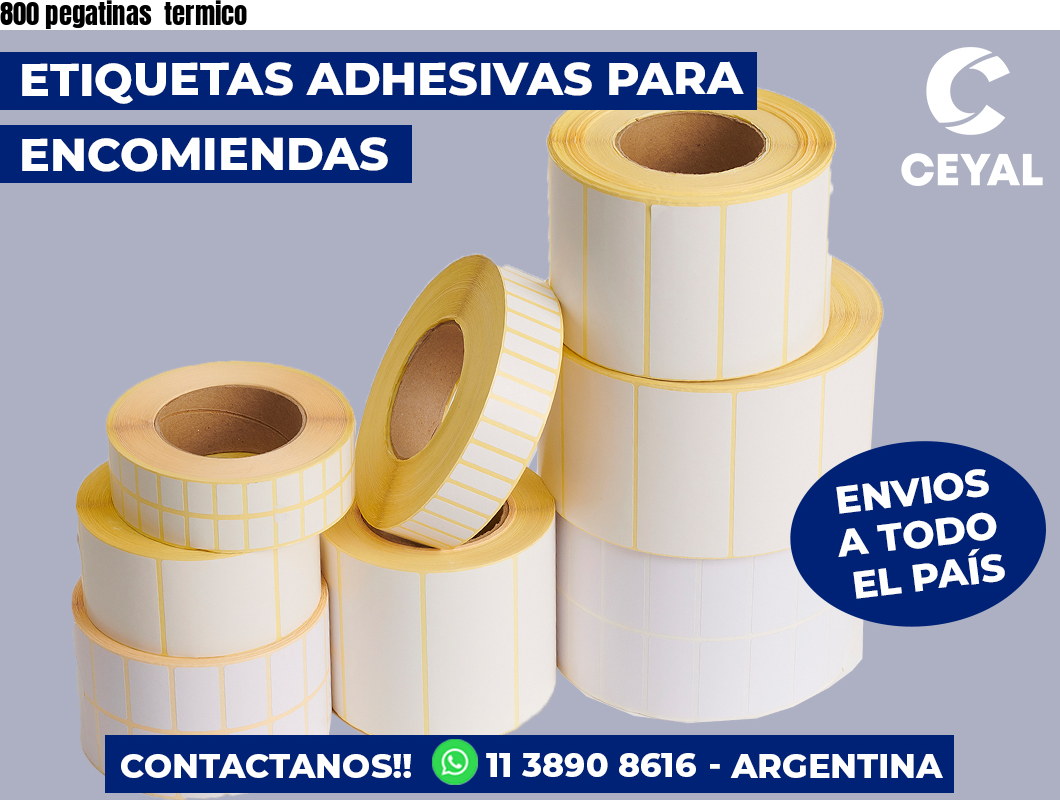 800 pegatinas  termico