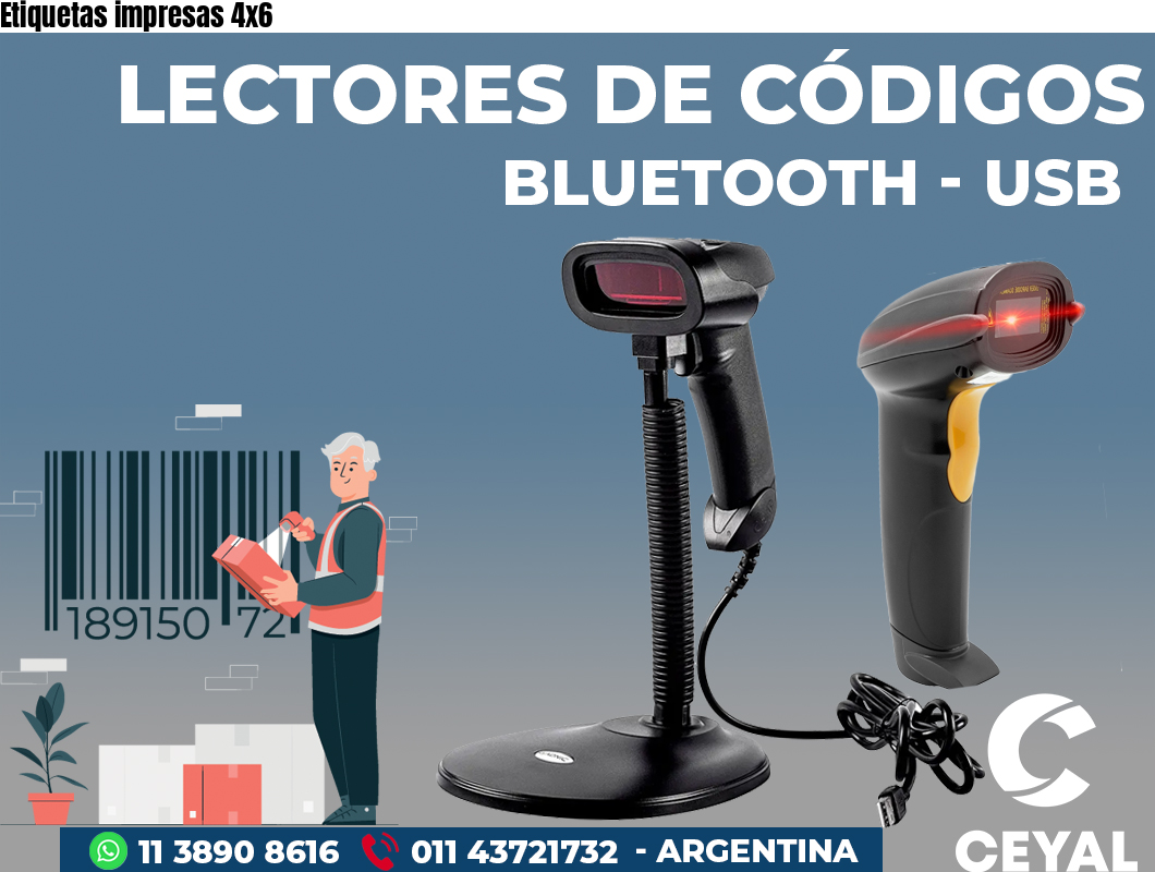 Etiquetas impresas 4x6
