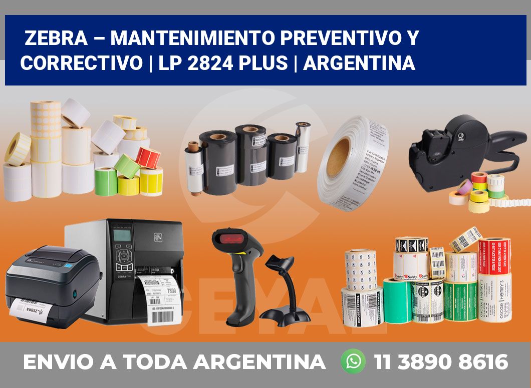 Zebra – mantenimiento preventivo y correctivo | LP 2824 Plus | Argentina