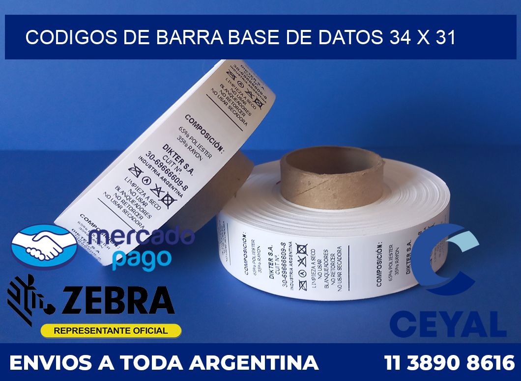 Codigos de barra base de datos 34 x 31