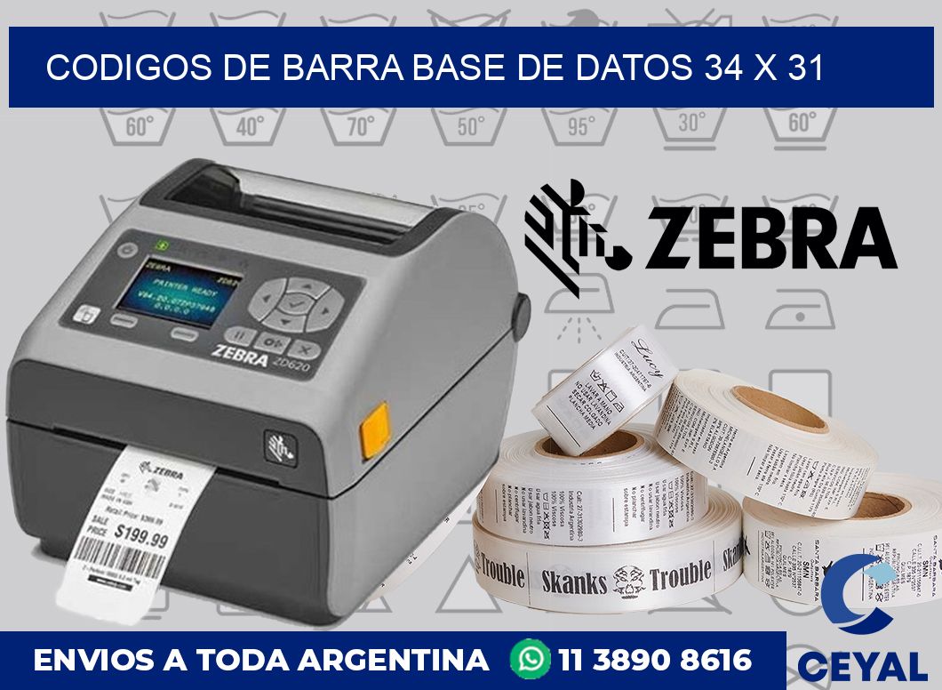 Codigos de barra base de datos 34 x 31