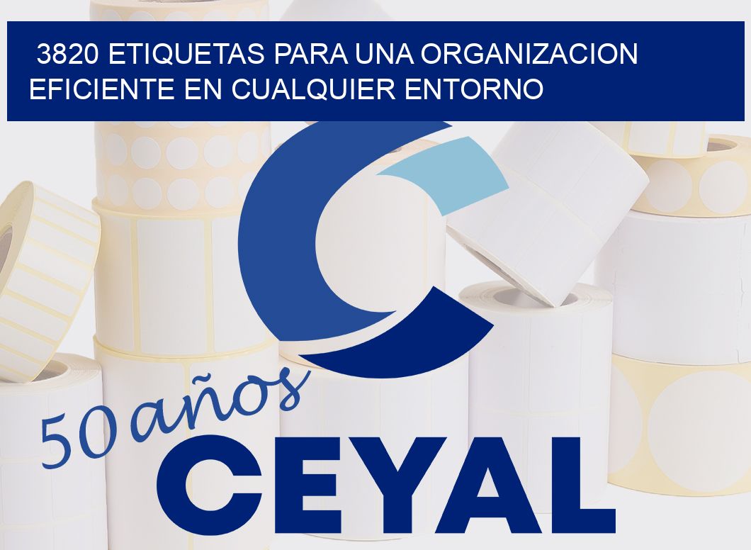 3820 ETIQUETAS PARA UNA ORGANIZACION EFICIENTE EN CUALQUIER ENTORNO