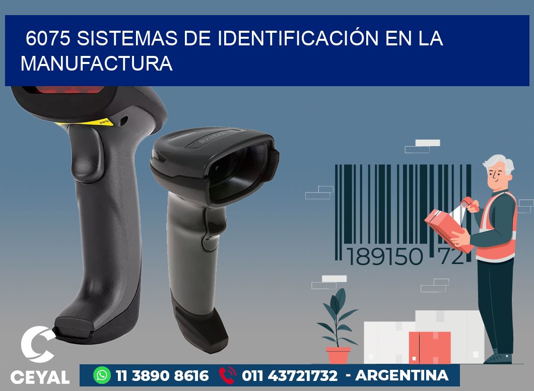 6075 SISTEMAS DE IDENTIFICACIÓN EN LA MANUFACTURA