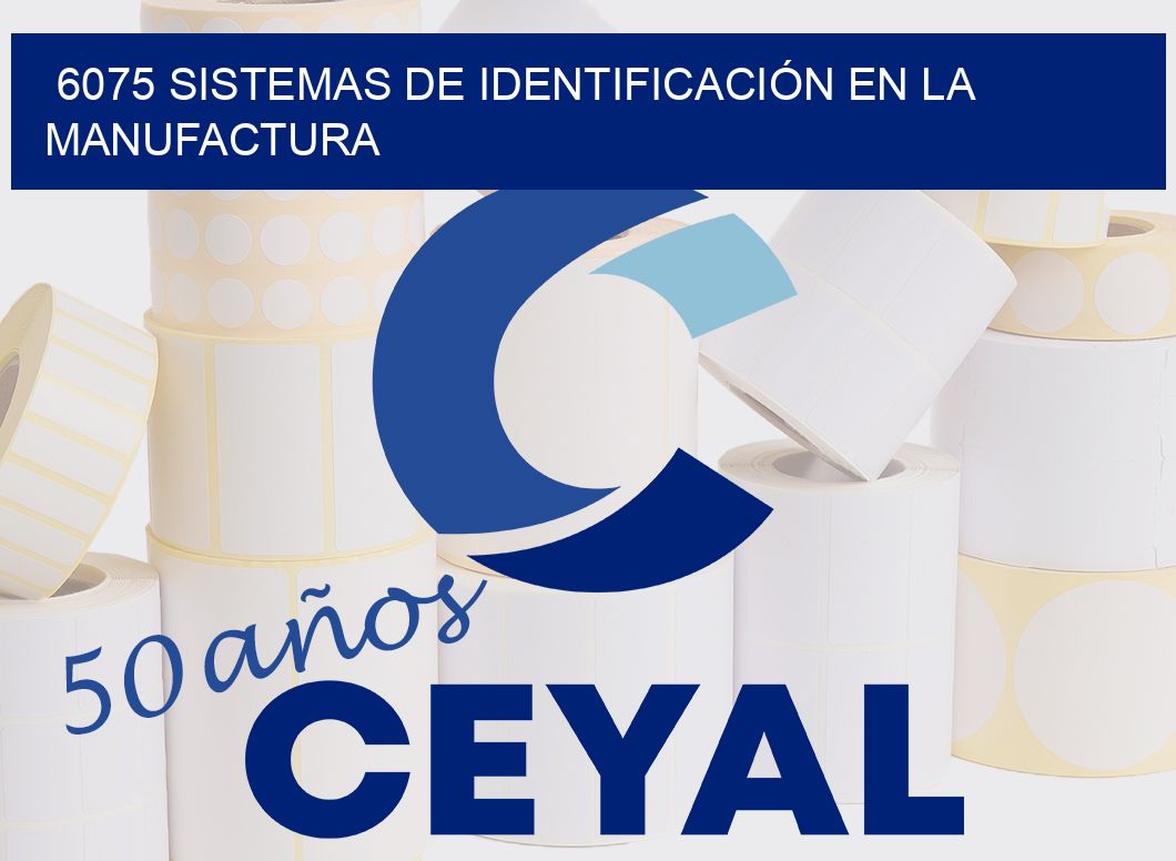 6075 SISTEMAS DE IDENTIFICACIÓN EN LA MANUFACTURA