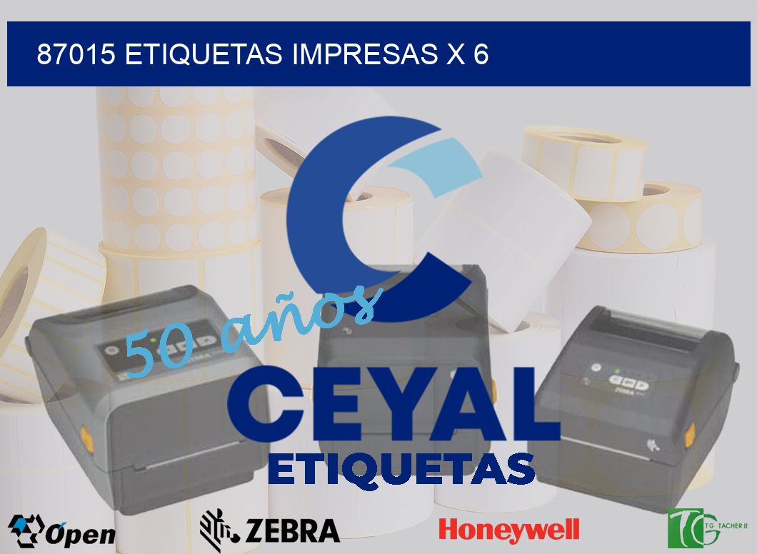 87015 Etiquetas impresas x 6