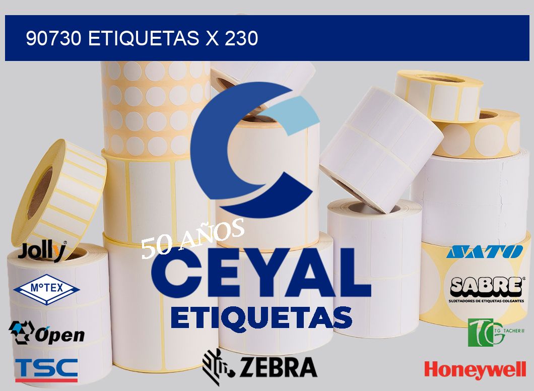 90730 Etiquetas x 230