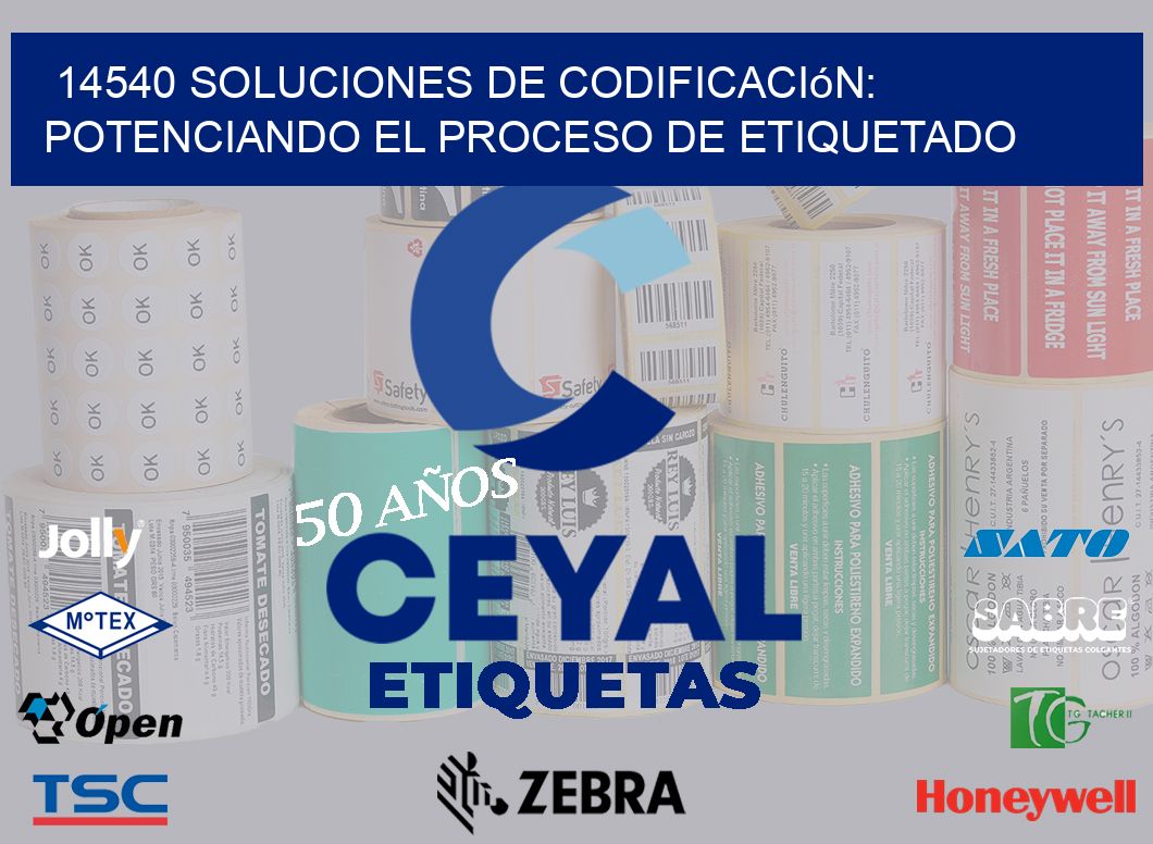 14540 Soluciones de Codificación: Potenciando el Proceso de Etiquetado