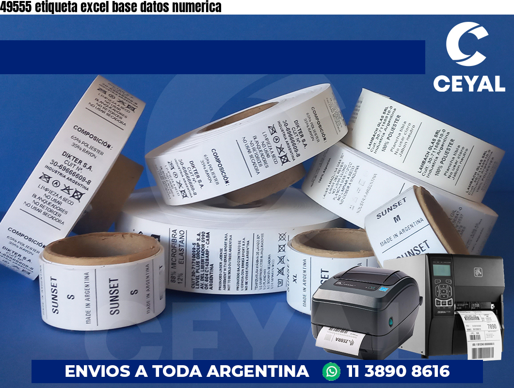 49555 etiqueta excel base datos numerica