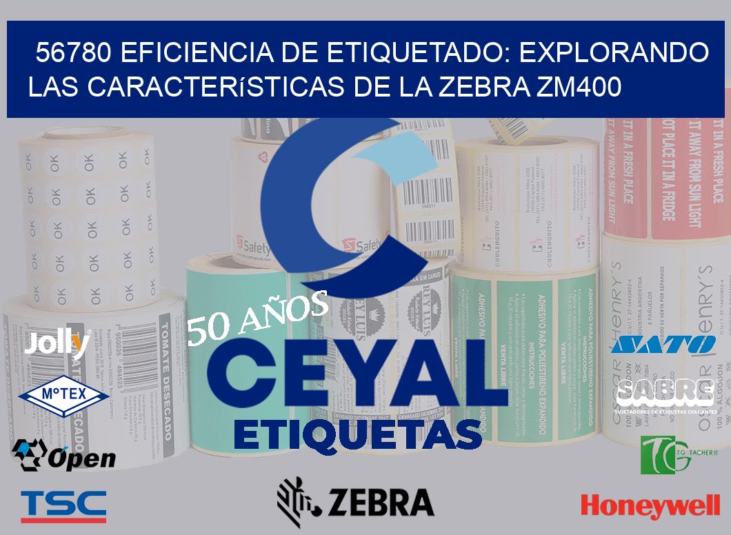 56780 Eficiencia de Etiquetado: Explorando las Características de la Zebra ZM400