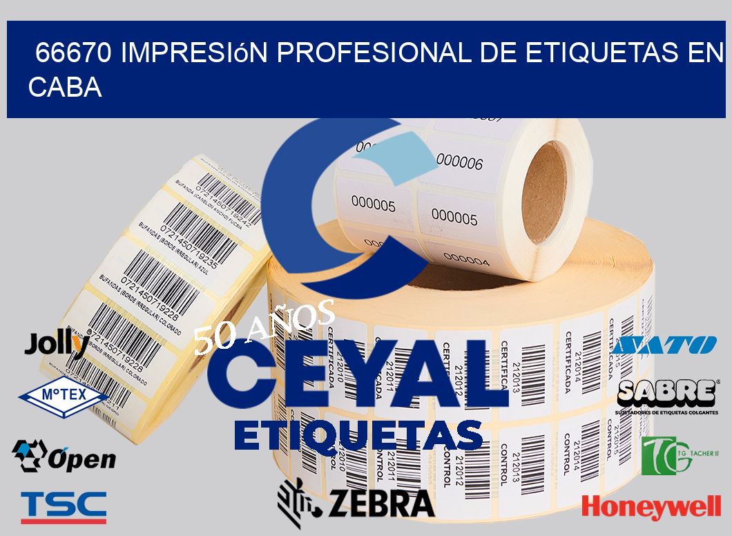 66670 Impresión Profesional de Etiquetas en CABA