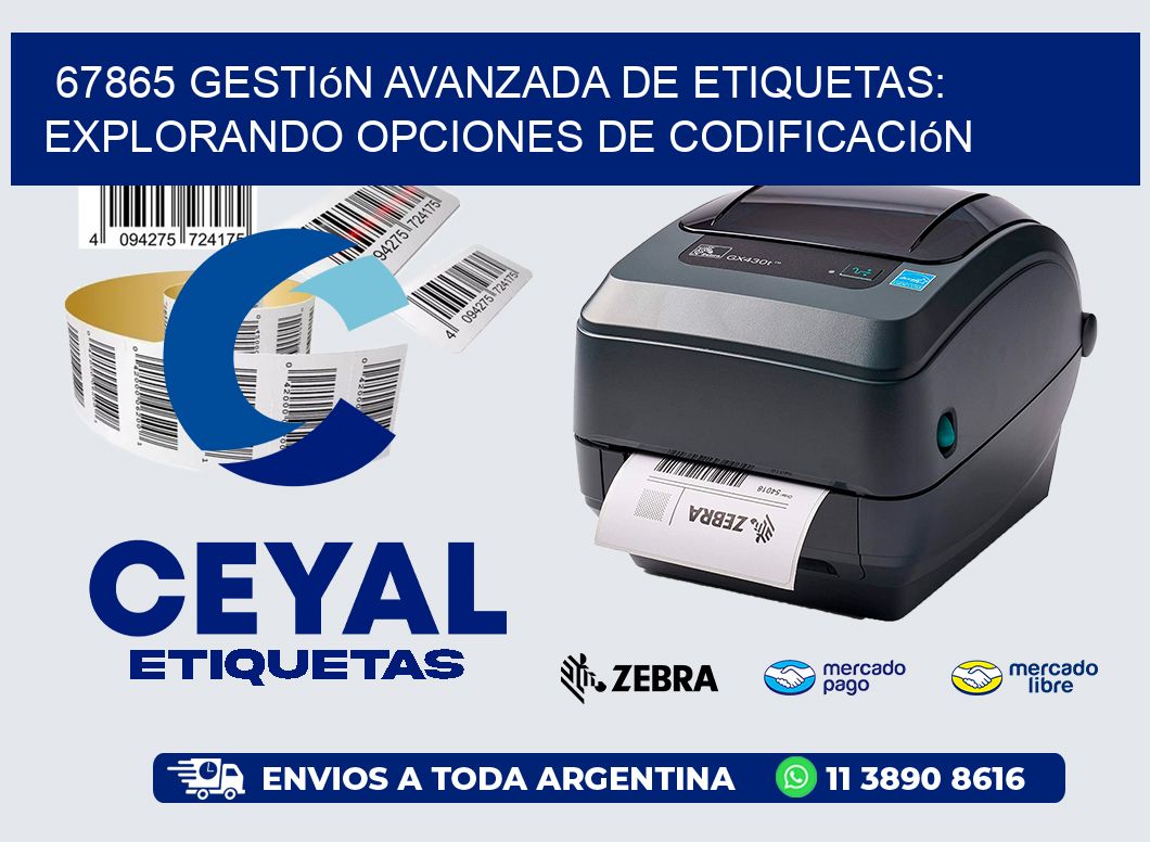 67865 Gestión Avanzada de Etiquetas: Explorando Opciones de Codificación
