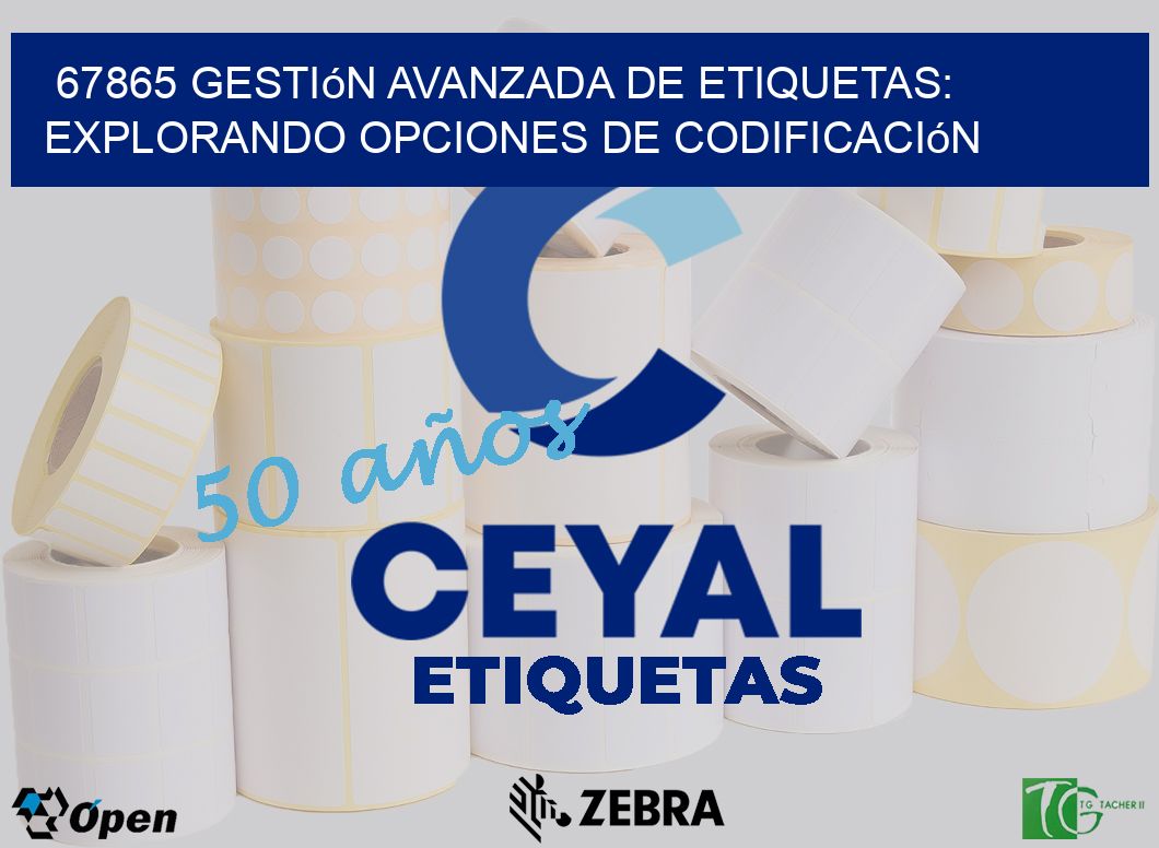 67865 Gestión Avanzada de Etiquetas: Explorando Opciones de Codificación
