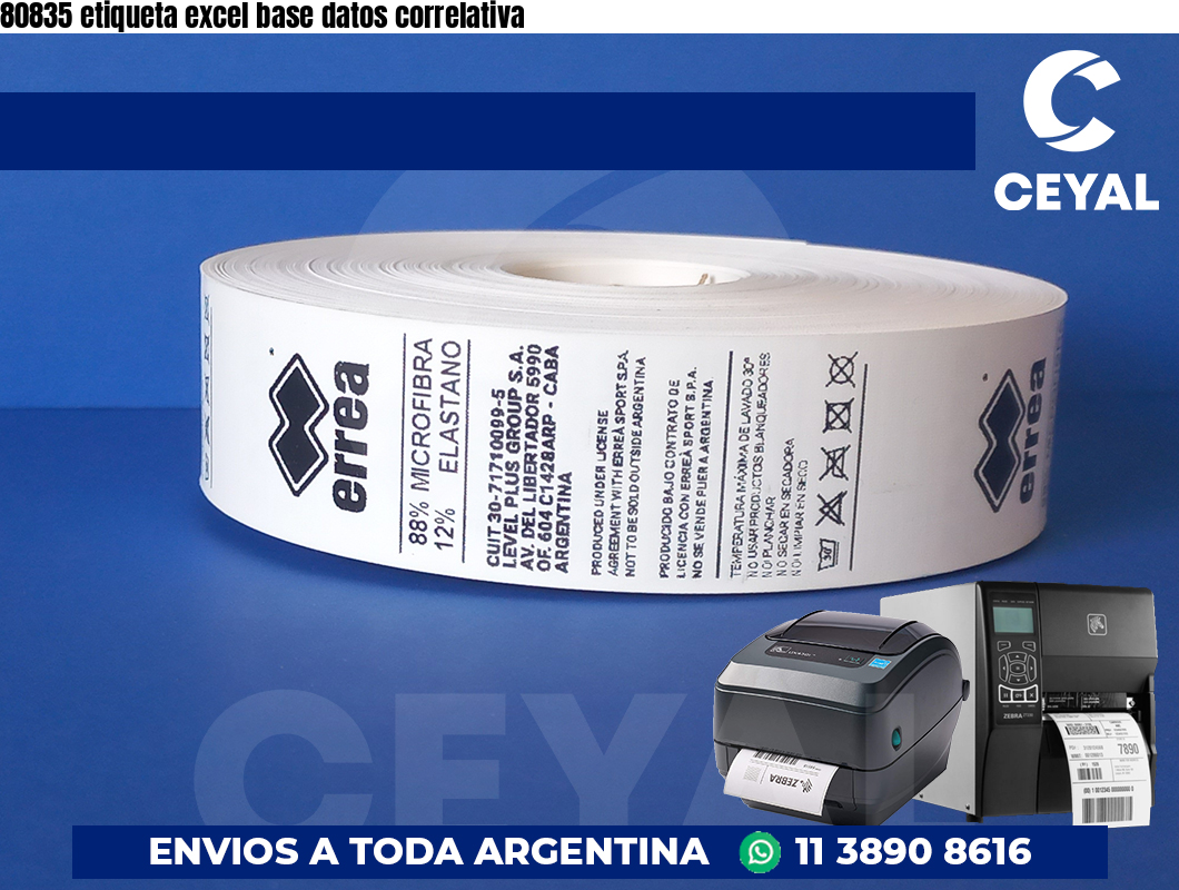 80835 etiqueta excel base datos correlativa