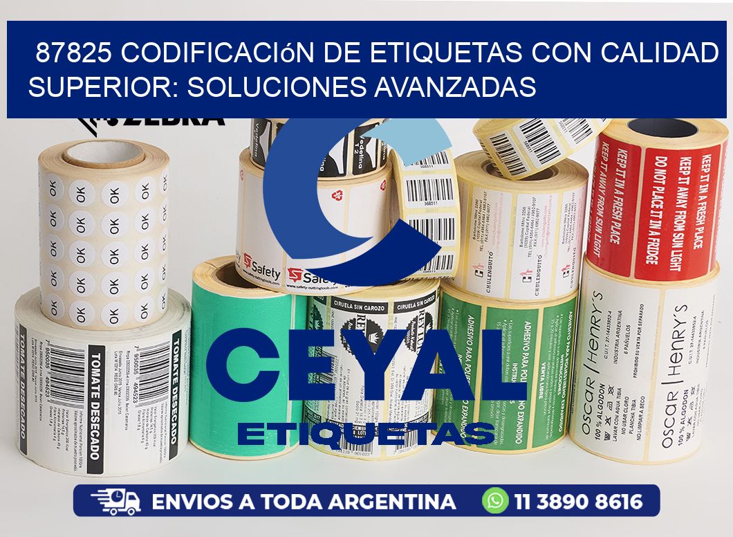 87825 Codificación de Etiquetas con Calidad Superior: Soluciones Avanzadas