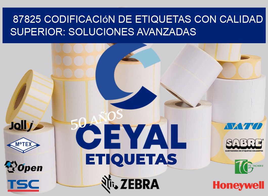 87825 Codificación de Etiquetas con Calidad Superior: Soluciones Avanzadas