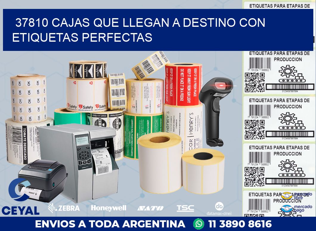 37810 CAJAS QUE LLEGAN A DESTINO CON ETIQUETAS PERFECTAS