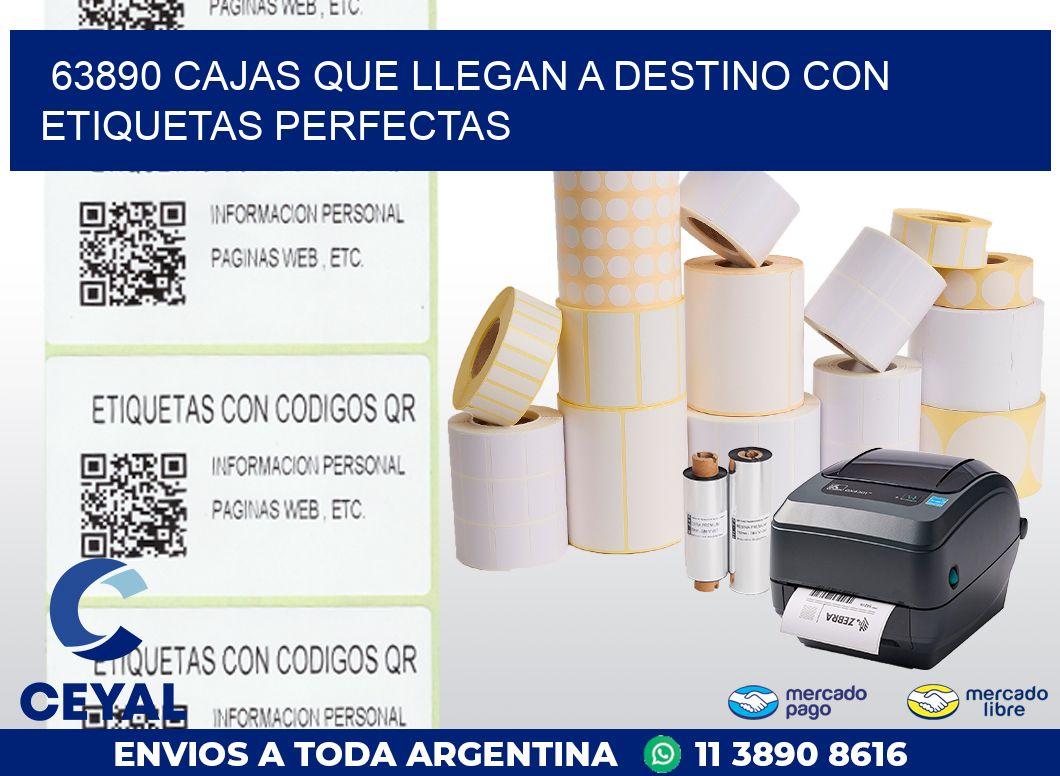 63890 CAJAS QUE LLEGAN A DESTINO CON ETIQUETAS PERFECTAS