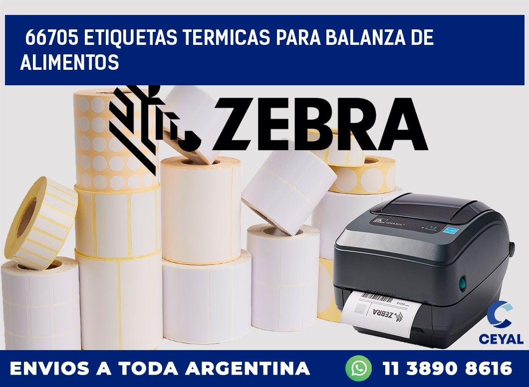66705 ETIQUETAS TERMICAS PARA BALANZA DE ALIMENTOS