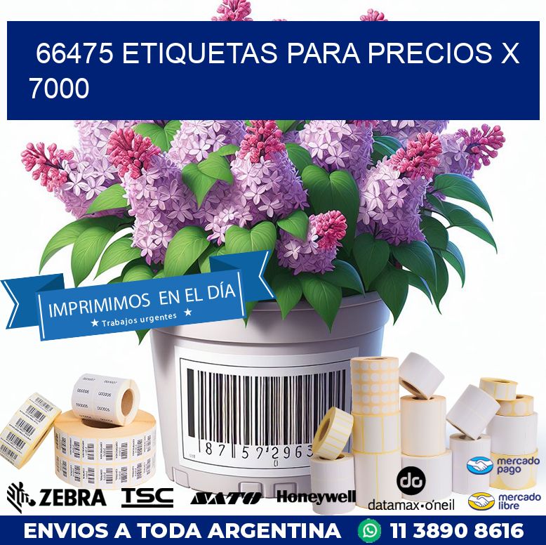 66475 ETIQUETAS PARA PRECIOS X 7000