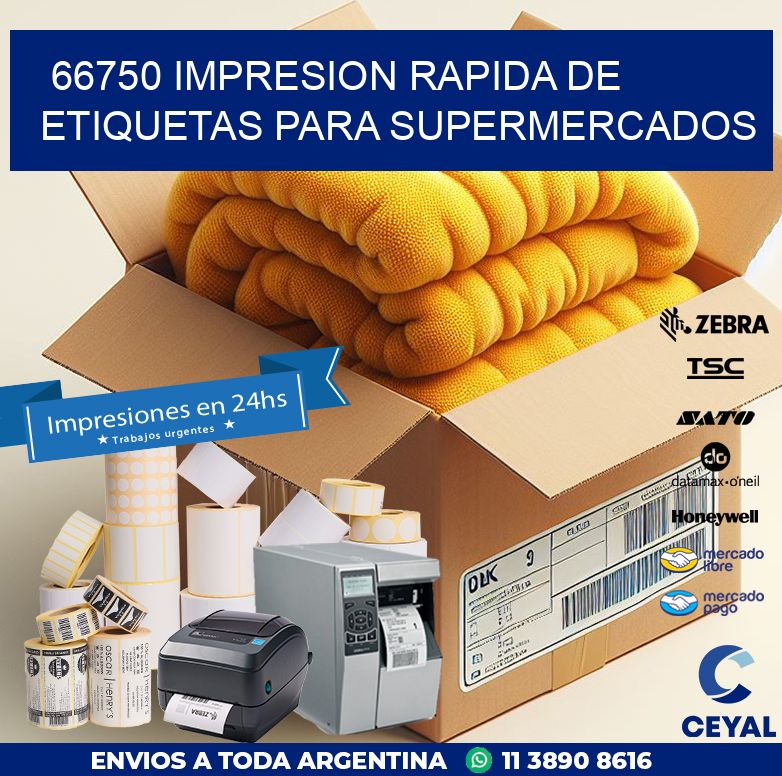 66750 IMPRESION RAPIDA DE ETIQUETAS PARA SUPERMERCADOS