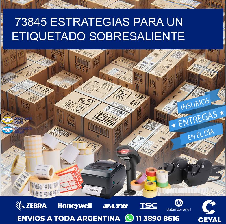 73845 ESTRATEGIAS PARA UN ETIQUETADO SOBRESALIENTE