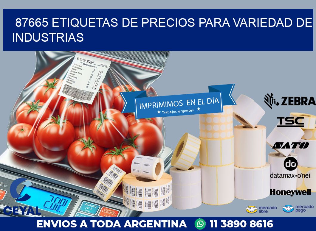 87665 ETIQUETAS DE PRECIOS PARA VARIEDAD DE INDUSTRIAS