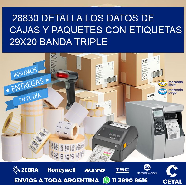 28830 DETALLA LOS DATOS DE CAJAS Y PAQUETES CON ETIQUETAS 29X20 BANDA TRIPLE
