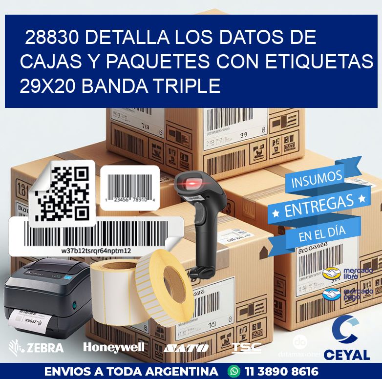 28830 DETALLA LOS DATOS DE CAJAS Y PAQUETES CON ETIQUETAS 29X20 BANDA TRIPLE