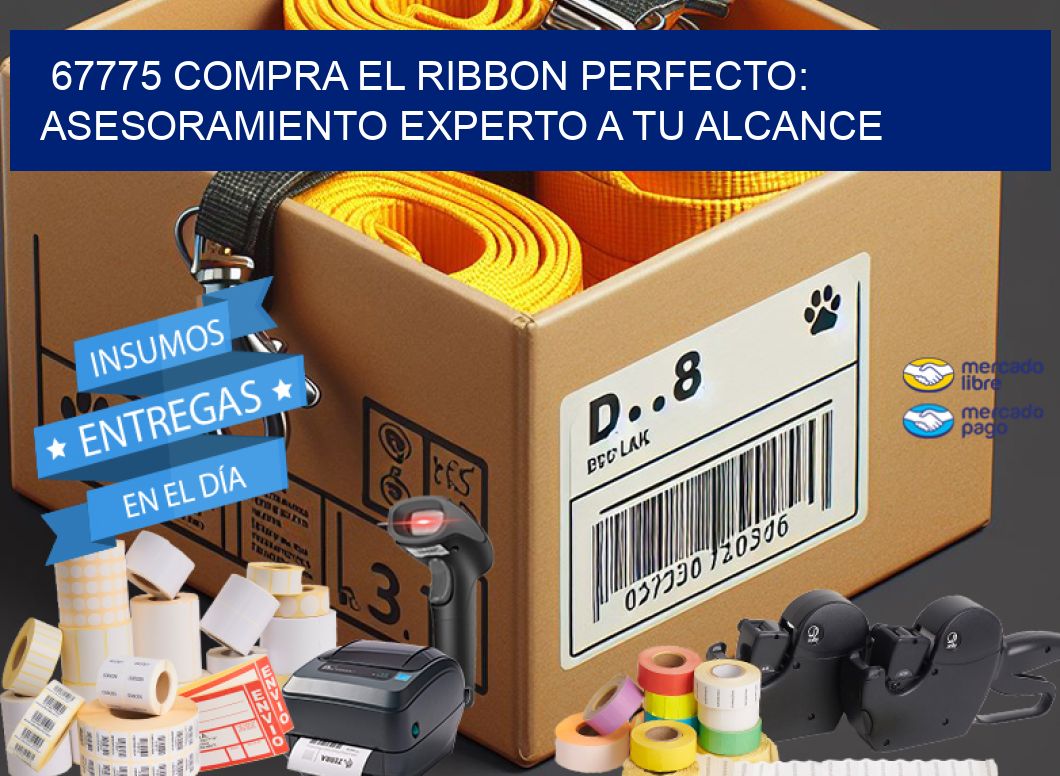 67775 COMPRA EL RIBBON PERFECTO: ASESORAMIENTO EXPERTO A TU ALCANCE