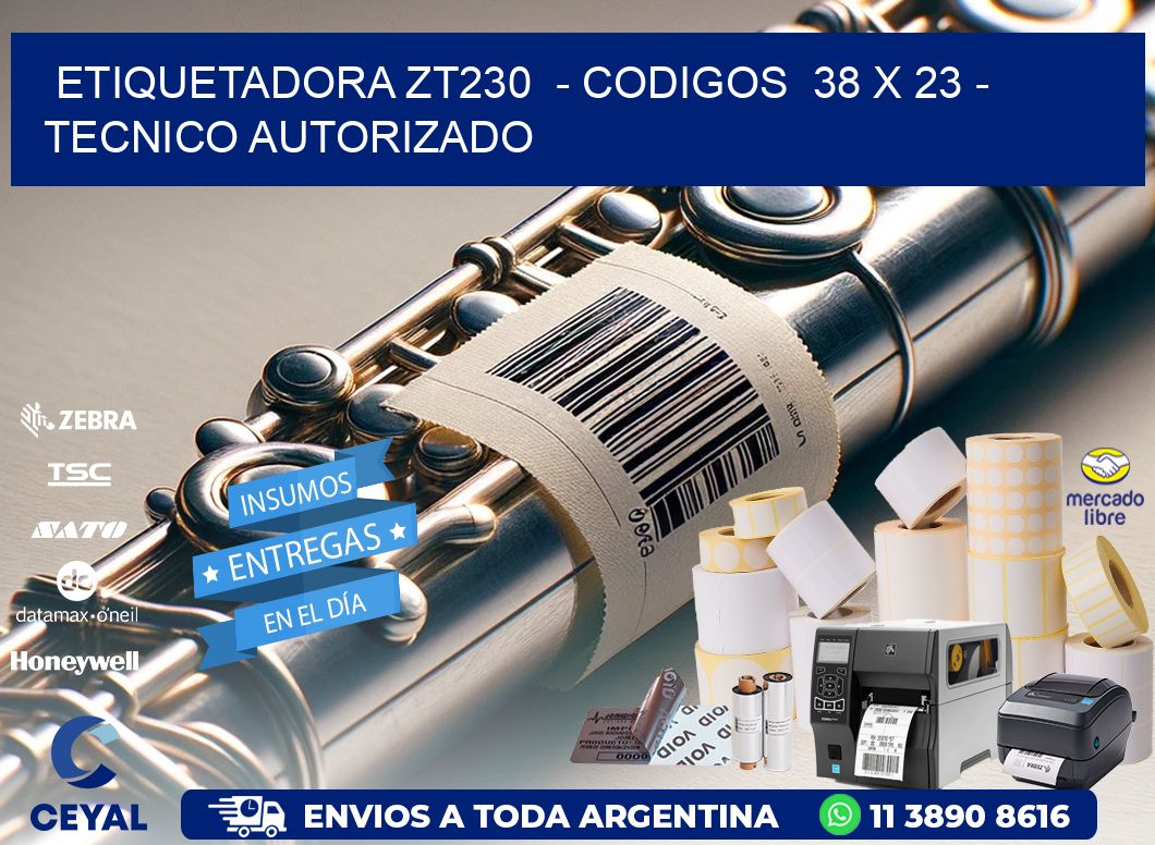 ETIQUETADORA ZT230 - CODIGOS 38 x 23 - TECNICO AUTORIZADO