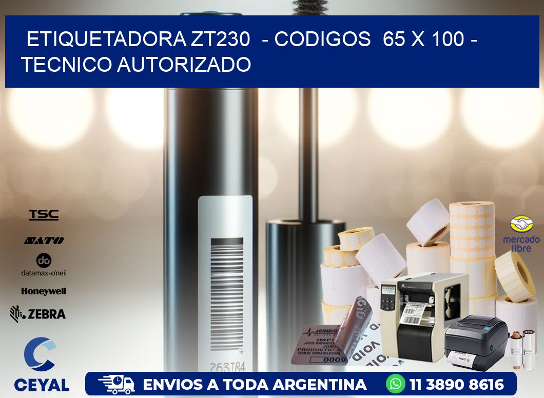 ETIQUETADORA ZT230  - CODIGOS  65 x 100 - TECNICO AUTORIZADO