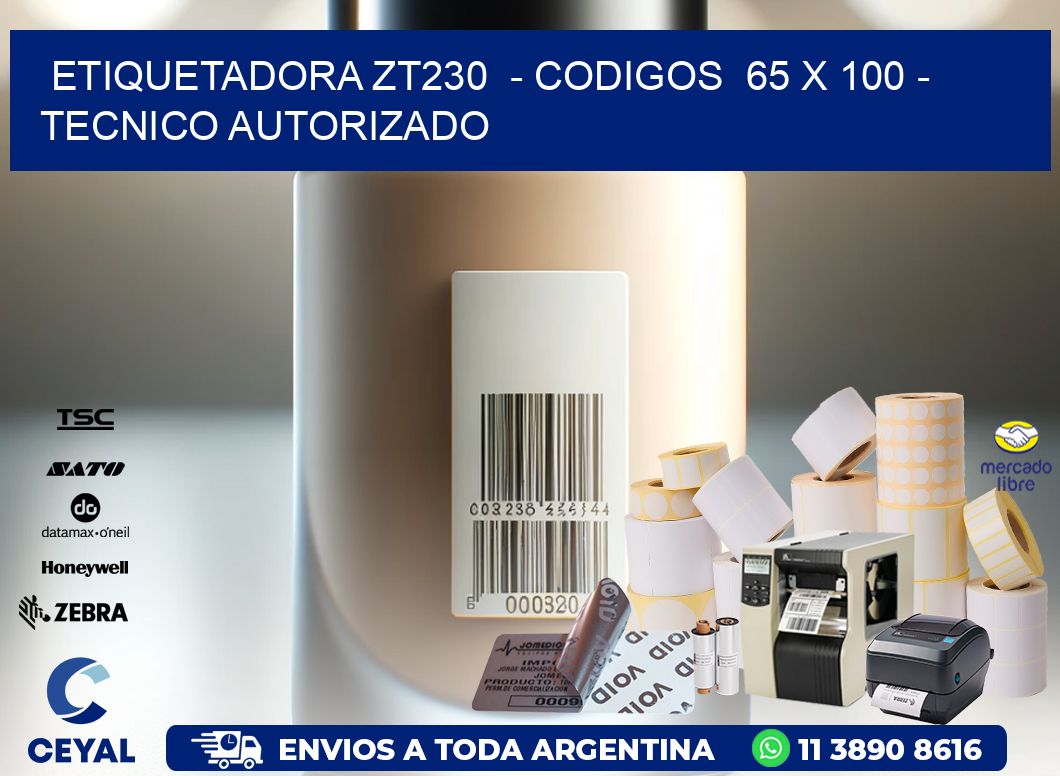 ETIQUETADORA ZT230  - CODIGOS  65 x 100 - TECNICO AUTORIZADO