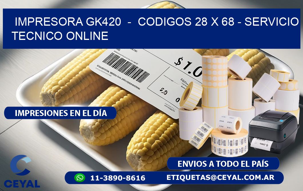 IMPRESORA GK420 - CODIGOS 28 x 68 - SERVICIO TECNICO ONLINE
