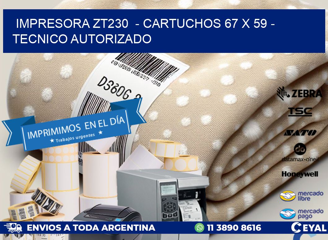 IMPRESORA ZT230  - CARTUCHOS 67 x 59 - TECNICO AUTORIZADO