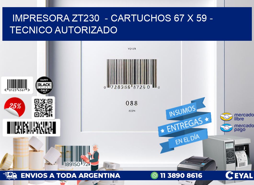 IMPRESORA ZT230  - CARTUCHOS 67 x 59 - TECNICO AUTORIZADO