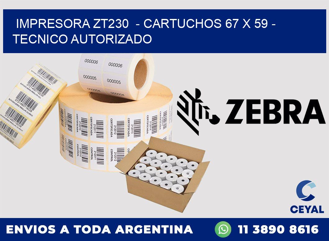 IMPRESORA ZT230  - CARTUCHOS 67 x 59 - TECNICO AUTORIZADO