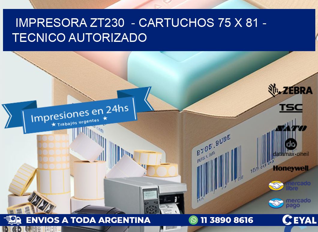 IMPRESORA ZT230 - CARTUCHOS 75 x 81 - TECNICO AUTORIZADO
