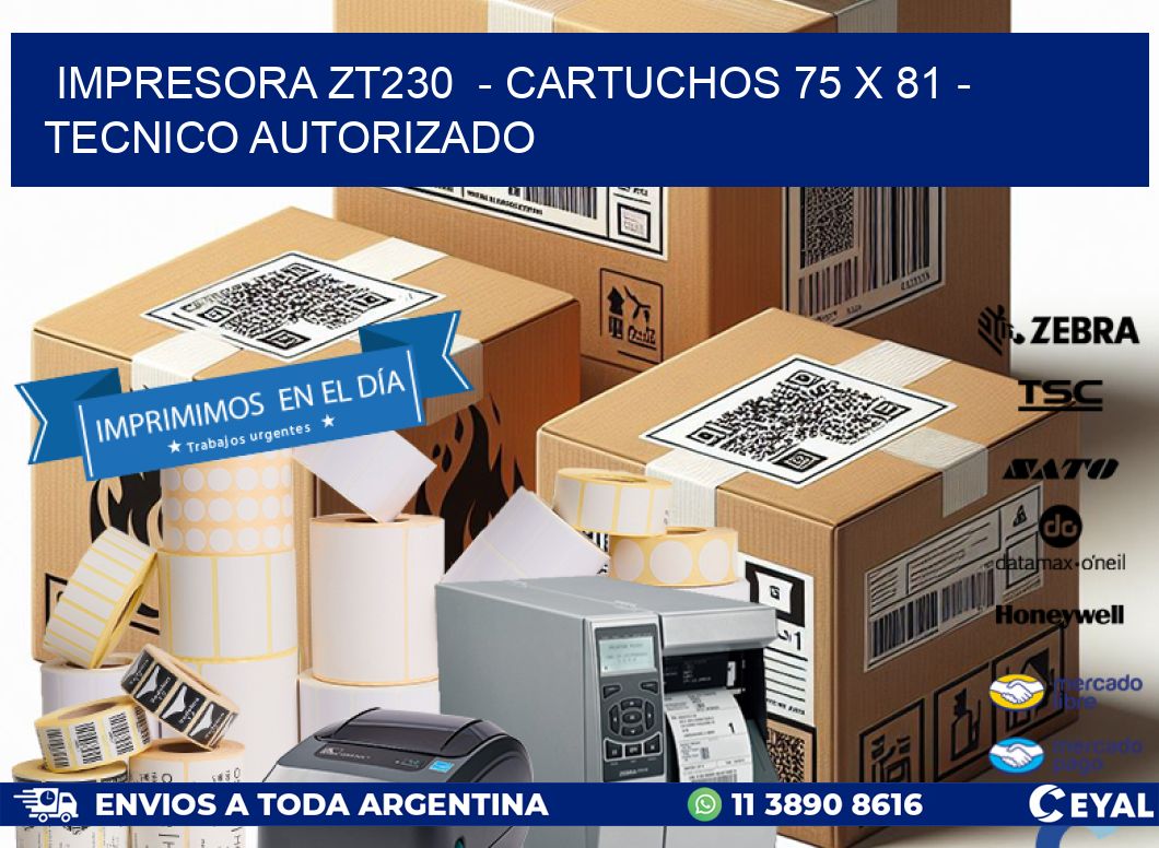 IMPRESORA ZT230 - CARTUCHOS 75 x 81 - TECNICO AUTORIZADO