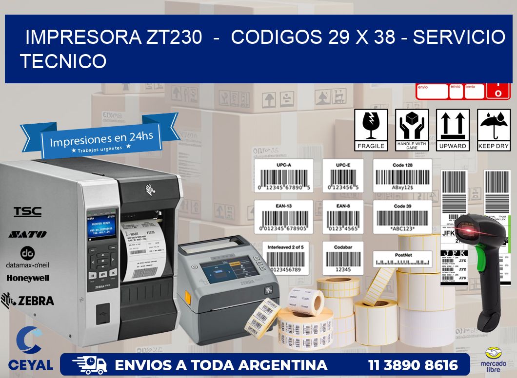 IMPRESORA ZT230  -  CODIGOS 29 x 38 - SERVICIO TECNICO