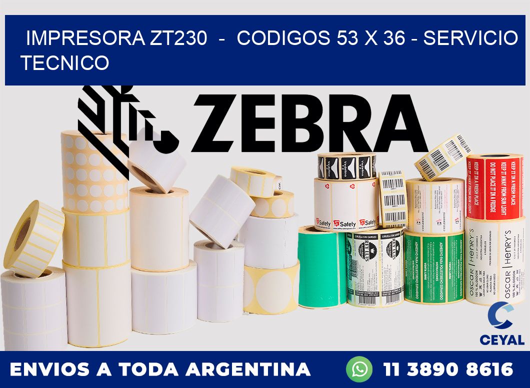 IMPRESORA ZT230 - CODIGOS 53 x 36 - SERVICIO TECNICO