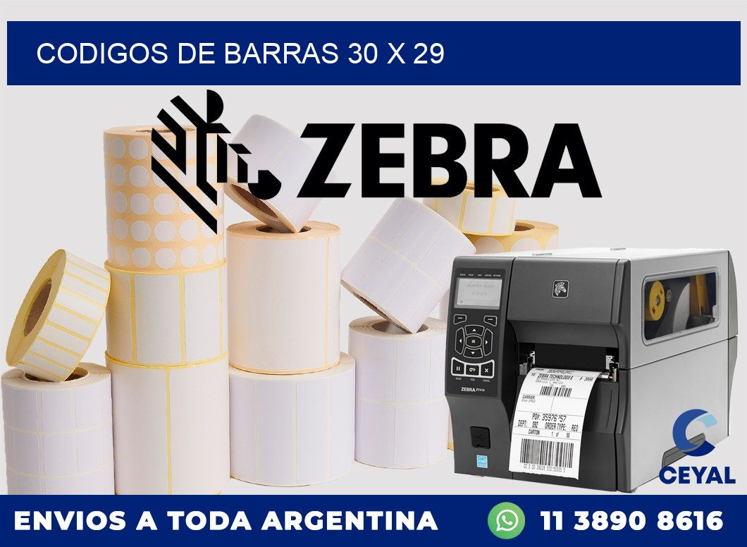 codigos de barras 30 x 29