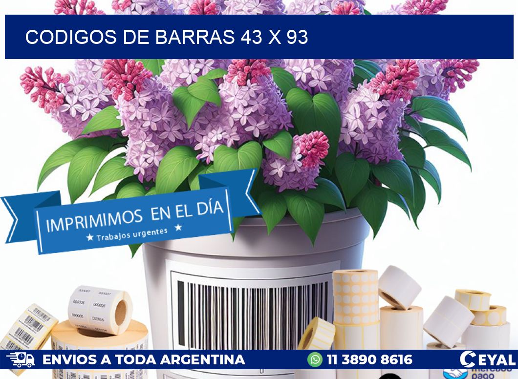 codigos de barras 43 x 93