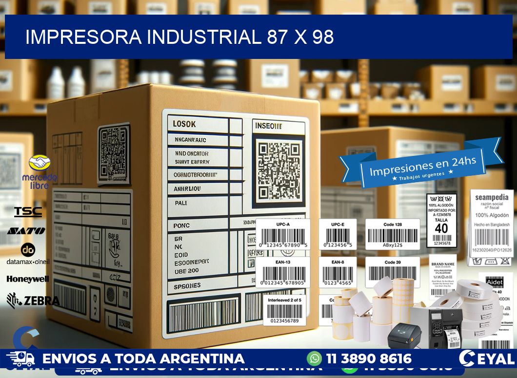 impresora industrial 87 x 98