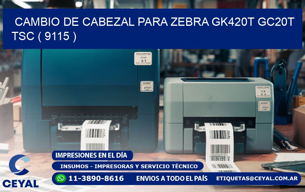 CAMBIO DE CABEZAL PARA ZEBRA GK420T GC20T TSC ( 9115 )